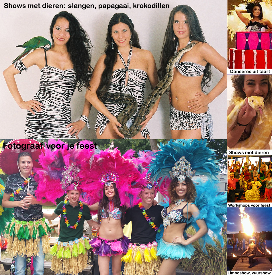 Cubaanse Feestzaal decoratie